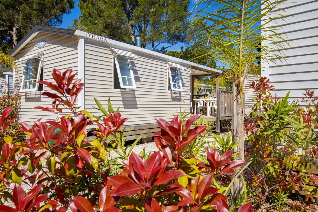 Camping Taxo Les Pins Argelès-sur-Mer Exteriör bild
