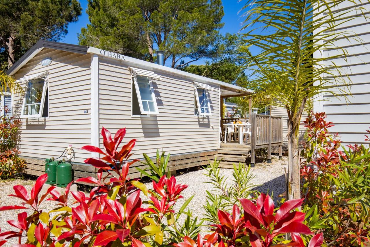 Camping Taxo Les Pins Argelès-sur-Mer Exteriör bild