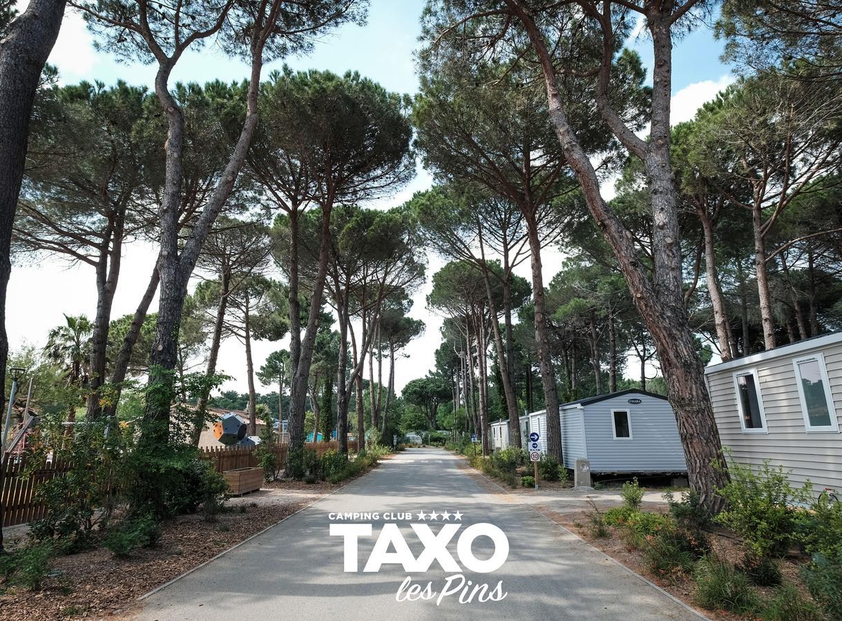 Camping Taxo Les Pins Argelès-sur-Mer Exteriör bild