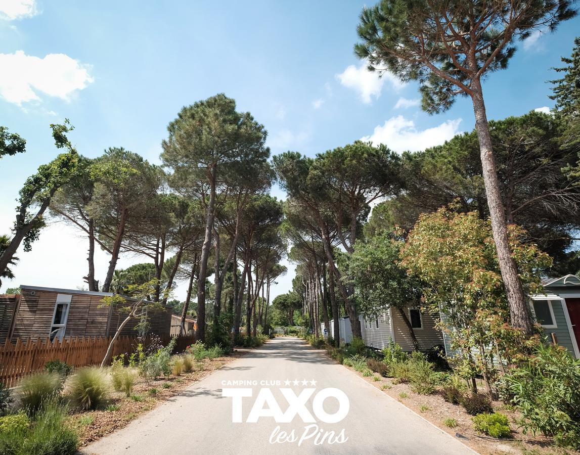 Camping Taxo Les Pins Argelès-sur-Mer Exteriör bild