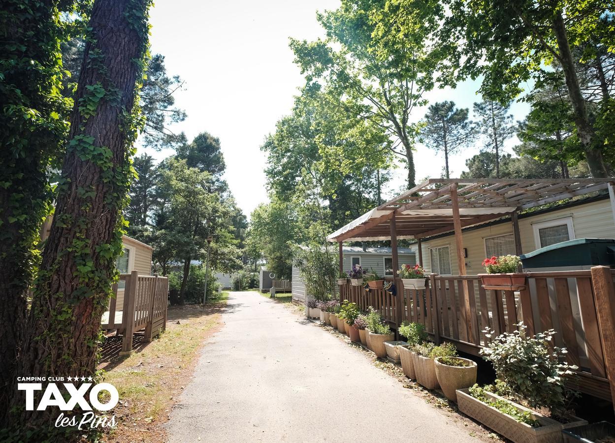 Camping Taxo Les Pins Argelès-sur-Mer Exteriör bild