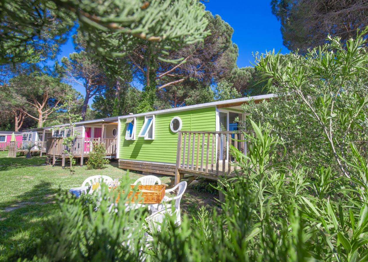 Camping Taxo Les Pins Argelès-sur-Mer Exteriör bild